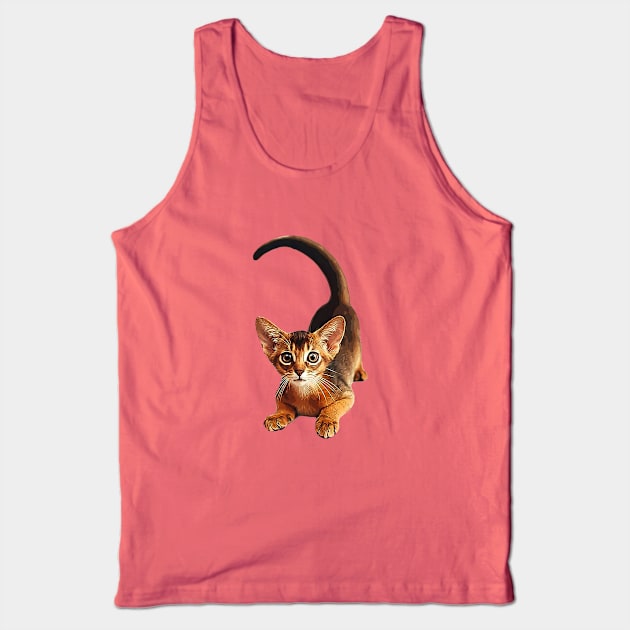 Abyssinian Cat Tank Top by ElegantCat